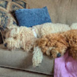 Meet your Posher, Jaime